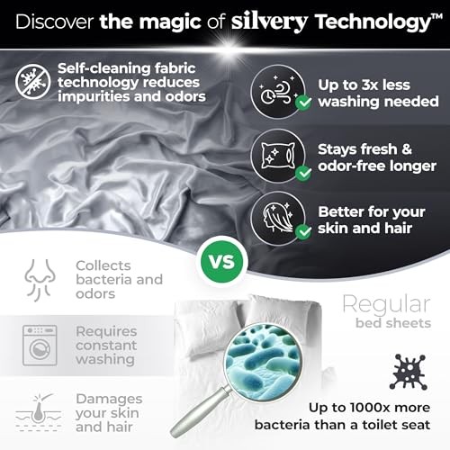 Silver Infused Bed Sheets Set - Ultra-Soft Temperature-Regulating Queen Gray