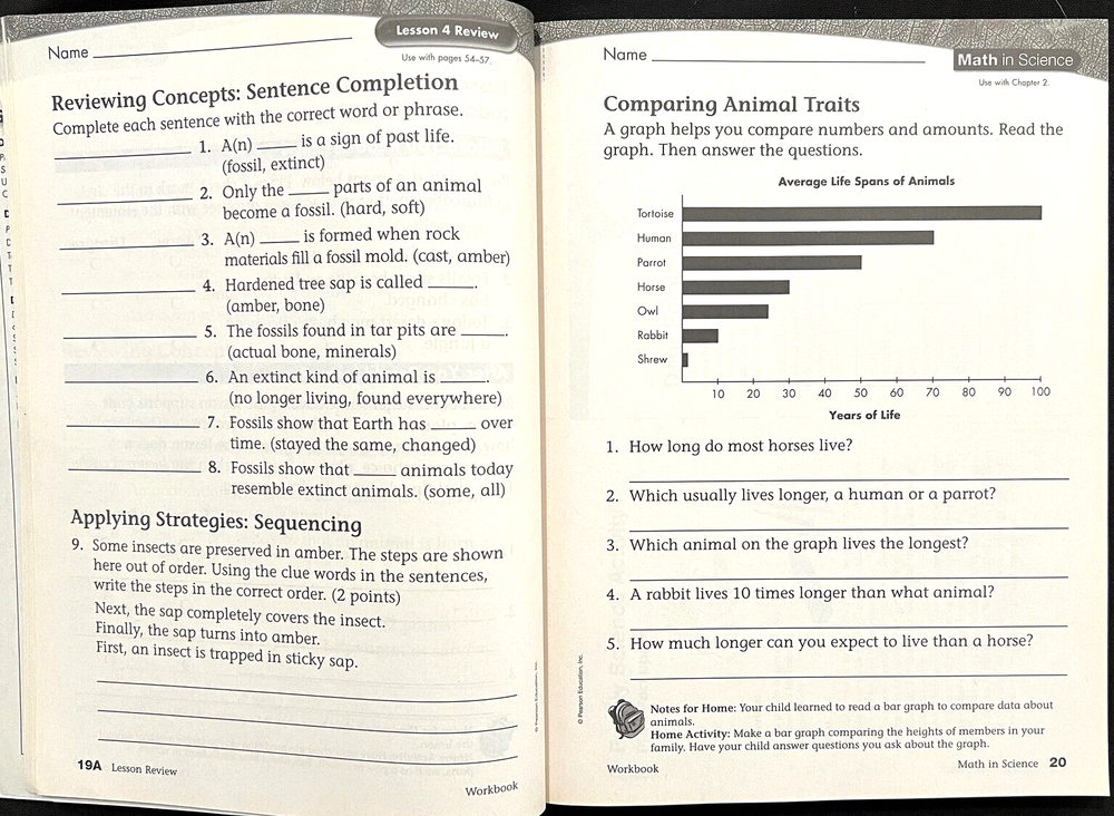 3rd Grade - SCIENCE - WORKBOOK - TEACHER GUIDE (2005, Scott Foresman)