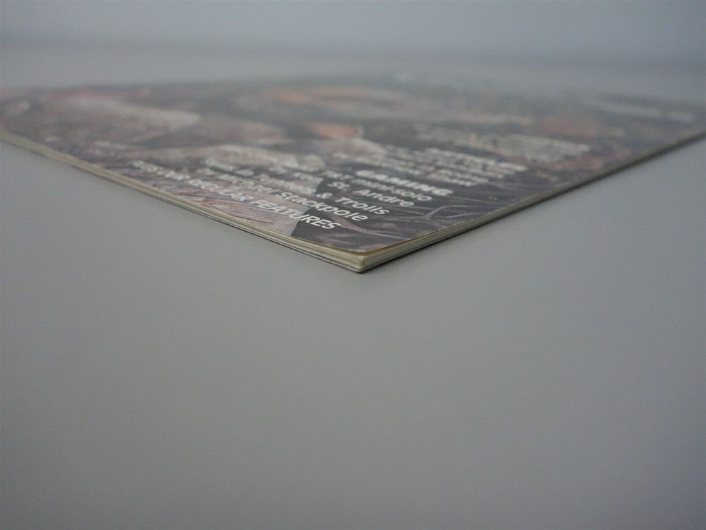 Sorcerer's Apprentice: Issue #15