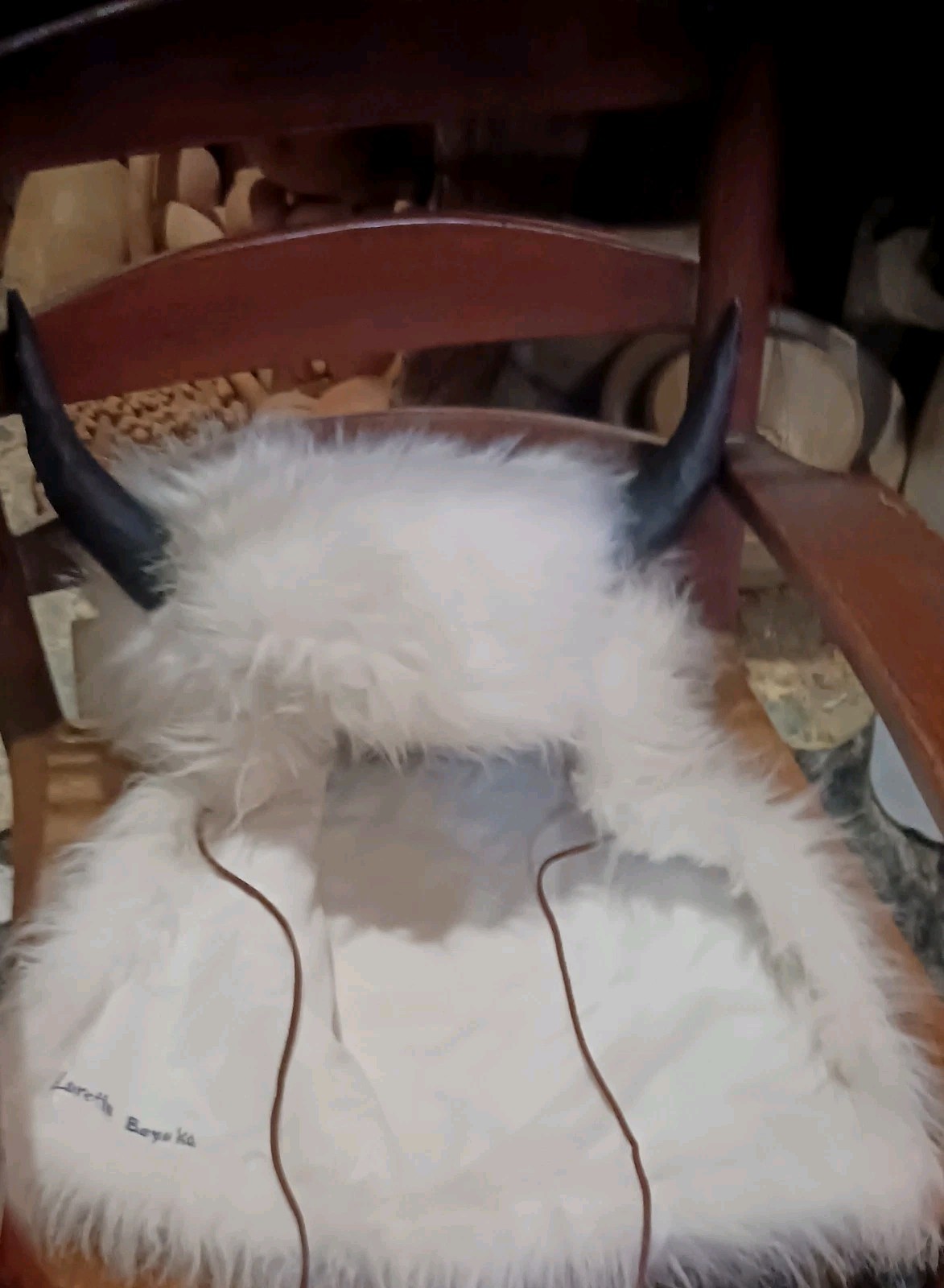 *AWESOME  NATIVE AMERICAN  WHITE BUFFALO HEAD DRESS LORETTA BEYUKA NICE HTF  !*