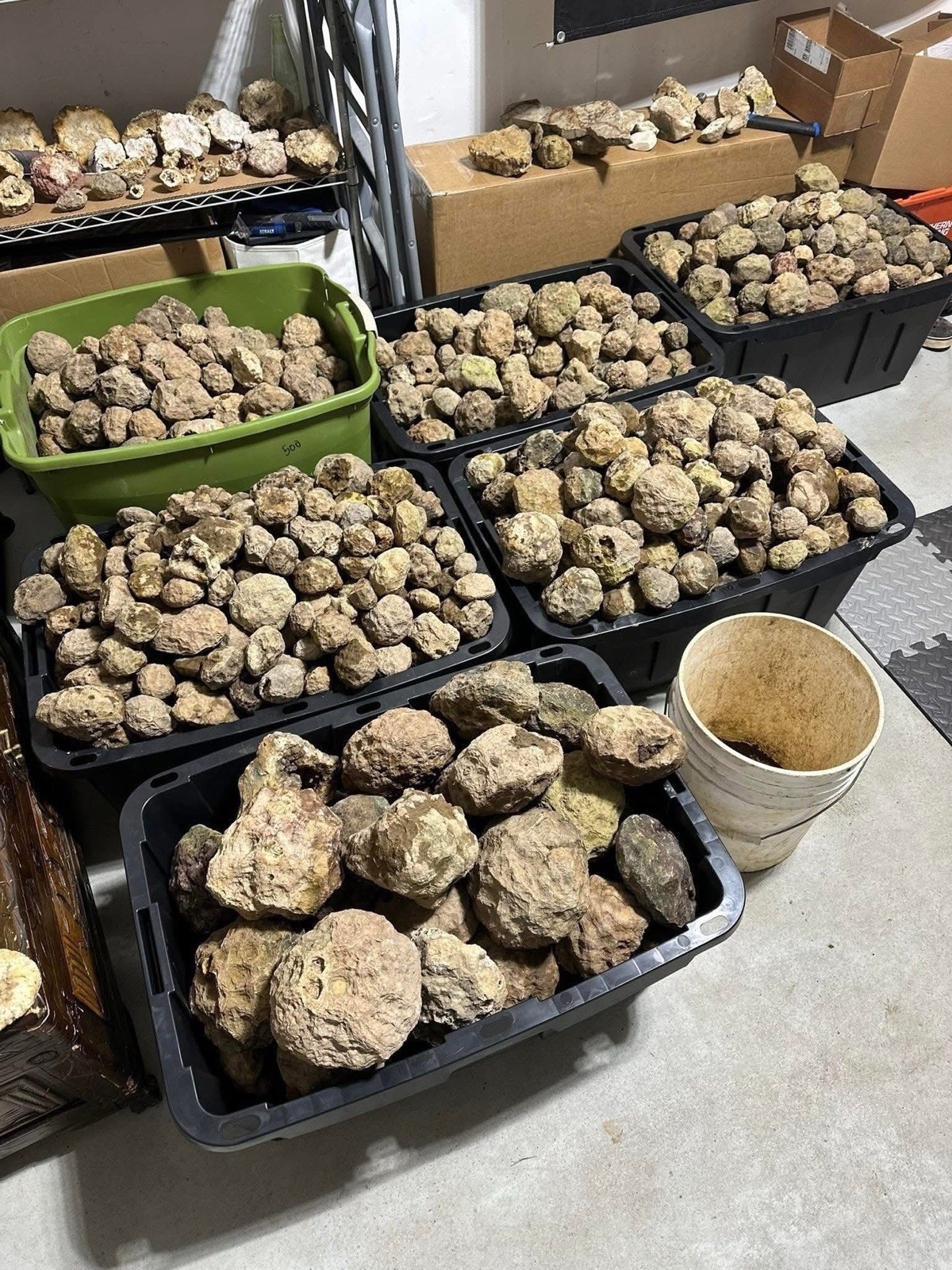 Box Of 10 Whole Natural Kentucky Geodes. FAST FREE SHIPPING! Read Description.