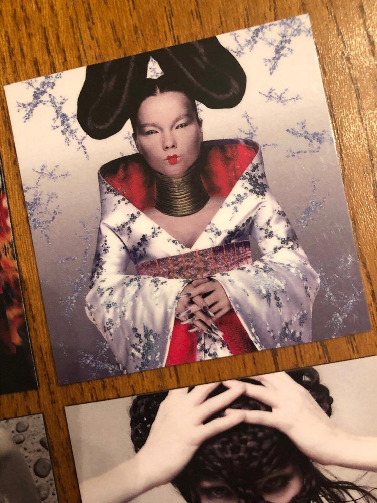 Bjork fridge magnets