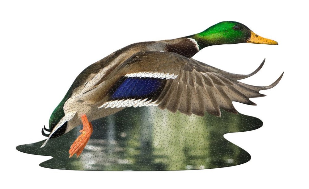 I Am Duck by Madd Capp Puzzles