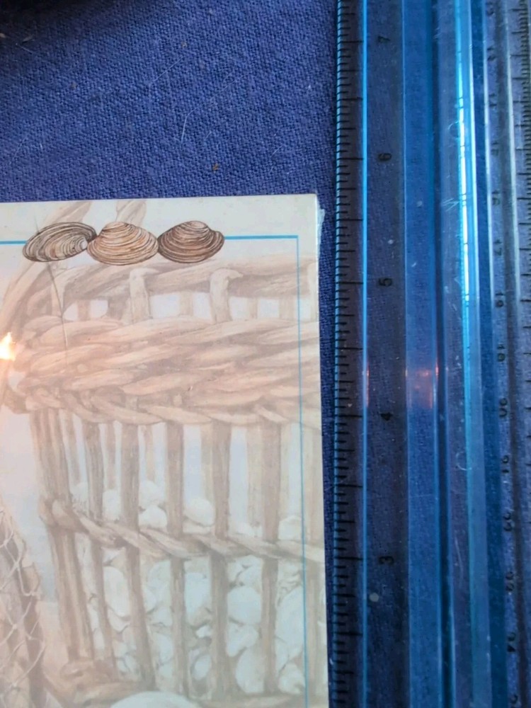 Wellspring Notepad Tablet SeaShells Shells Clams 2.75 X 5.5 Inches NIP