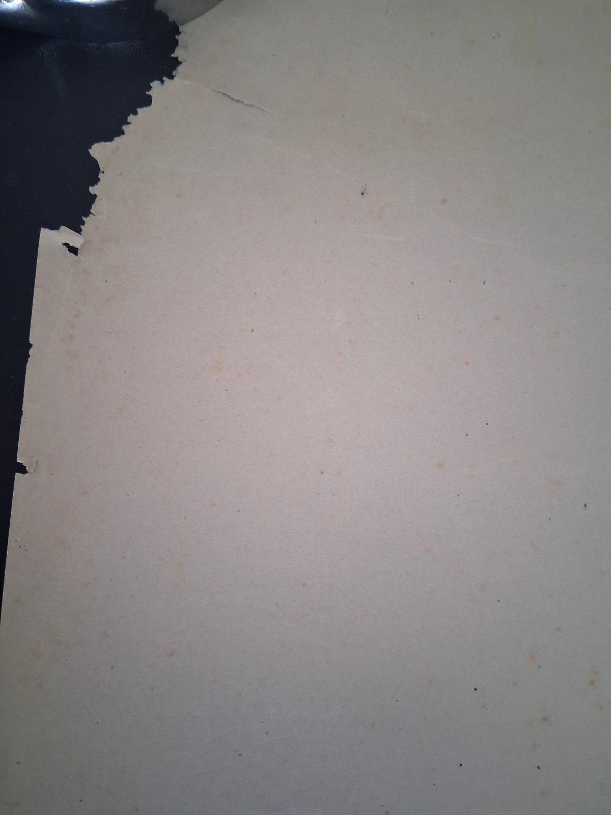 Original WWI U.S. Food Admin Poster Adolph Treidler Woodrow Wilson ~20” X 30”