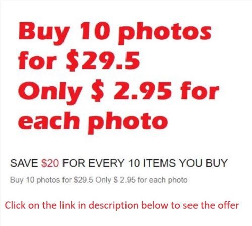 WW2 Picture Photo Tunisia 1943 German Tank Tiger 1 Ausf Panzer Abteilung 4145