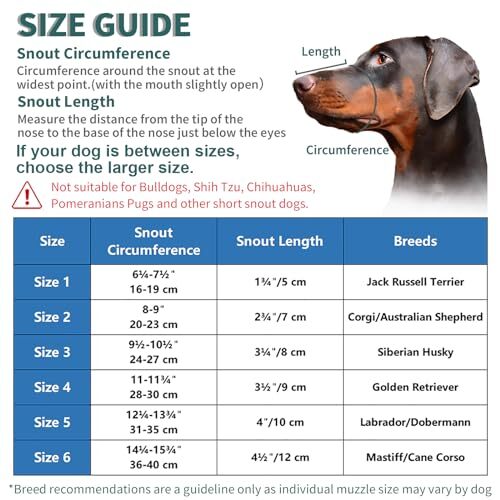 Dog Muzzle Basket Muzzle Anti Biting Chewing Sturdy Lightweight Muzzle Allows...