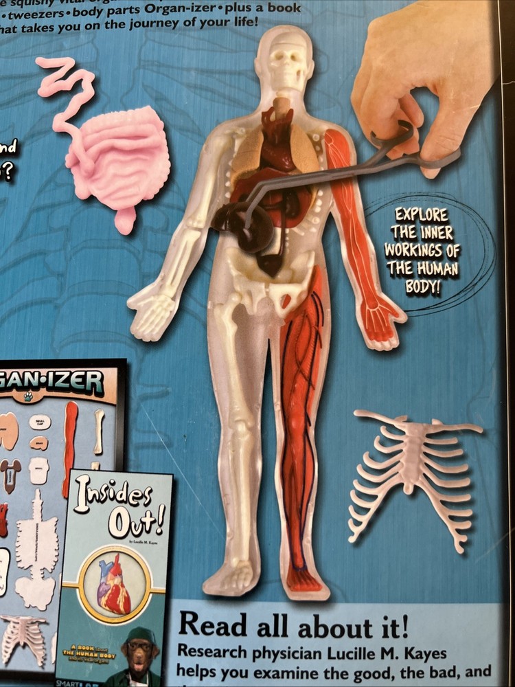 SmartLab You Explore It HUMAN BODY MODEL, Removable SQUISHY ORGANS, Tools & Book