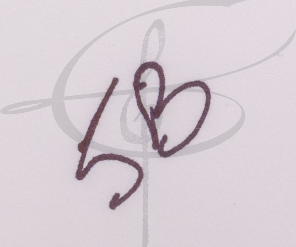 NiB Sanus WSOS1-W1