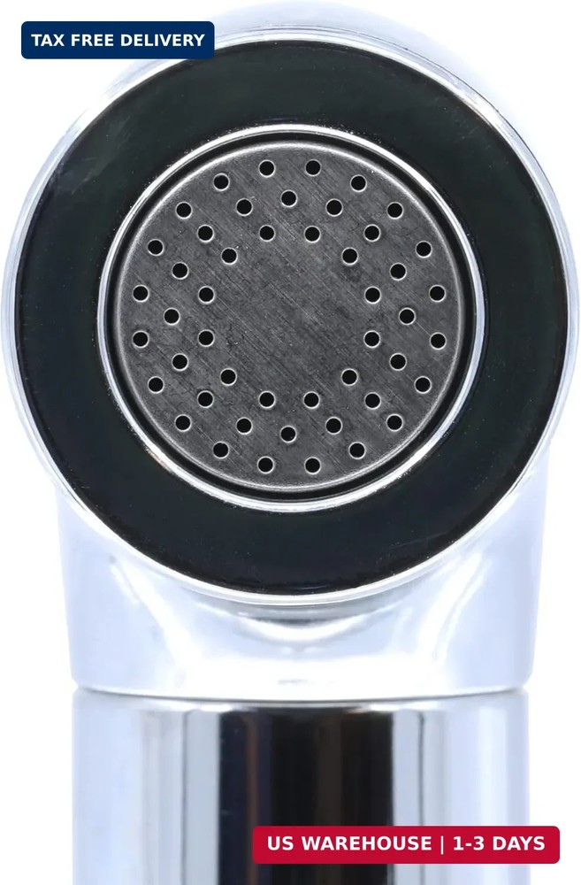 Danco 10330 Transitional Kitchen Sink Side Spray, Chrome