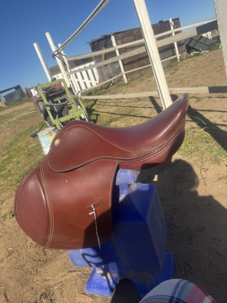 Kincade saddle 17"seat Regular Brown