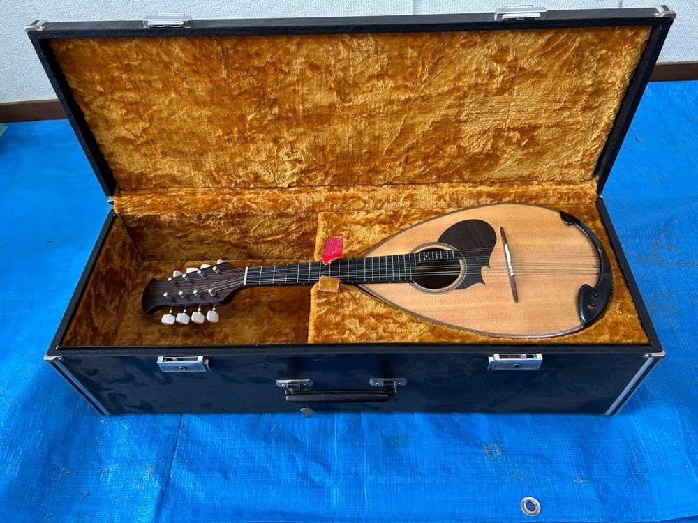 SUZUKI violin mandolin M-20