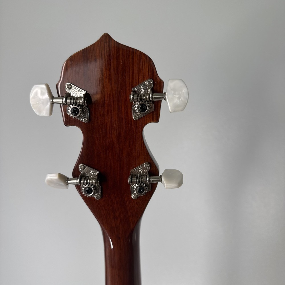 Banjo 5 String Banjo With Case Remo Head