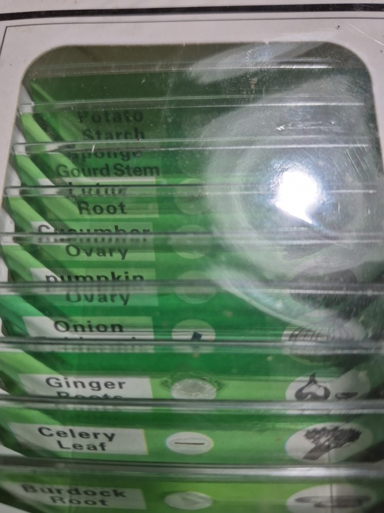 Plant Prepared Microscope Slides (12 Kinds) Professional Type