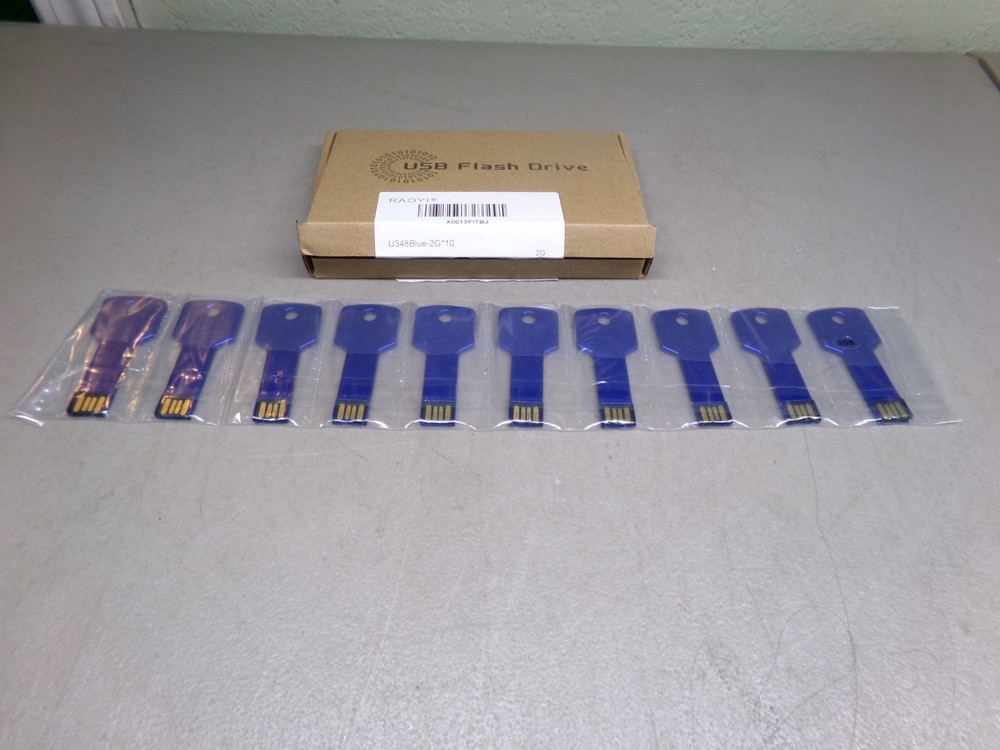 RAOYI FLASH DRIVE U348BLUE-2G*10