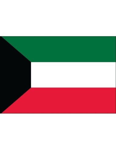 Kuwait 2' x 3' Indoor Polyester Flag