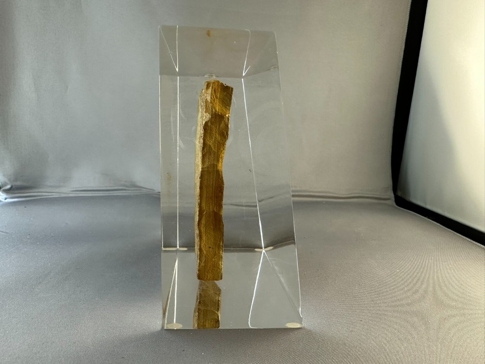 🦴 Fossilized Fish in Stone Matrix 🐟 | Authentic Prehistoric Specimen | Display