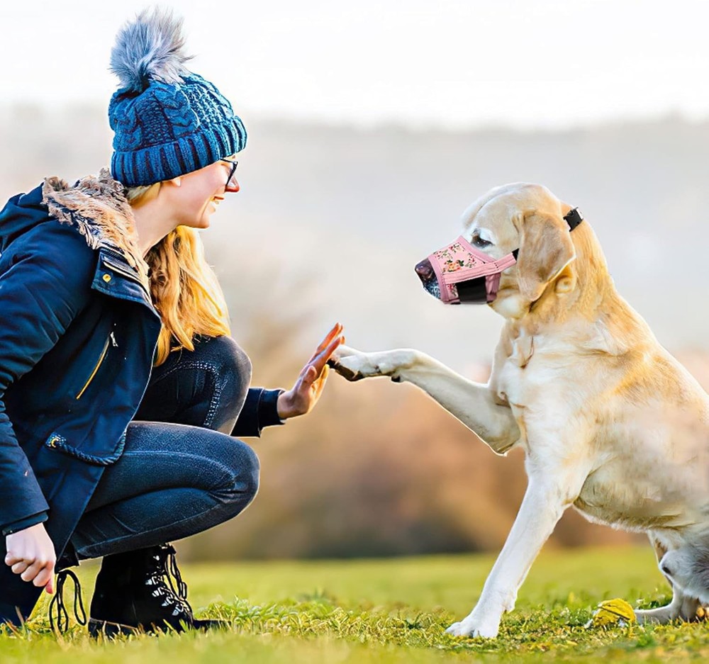 Comfort Fit Adjustable Dog Muzzle - Breathable Mesh for Safe Socialization