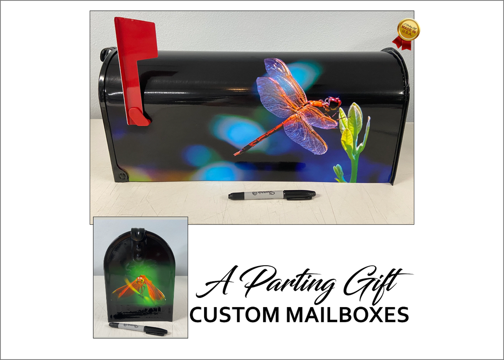 Dragon Fly Custom Mailbox - Fathers Day Gift - Personalized gift for her