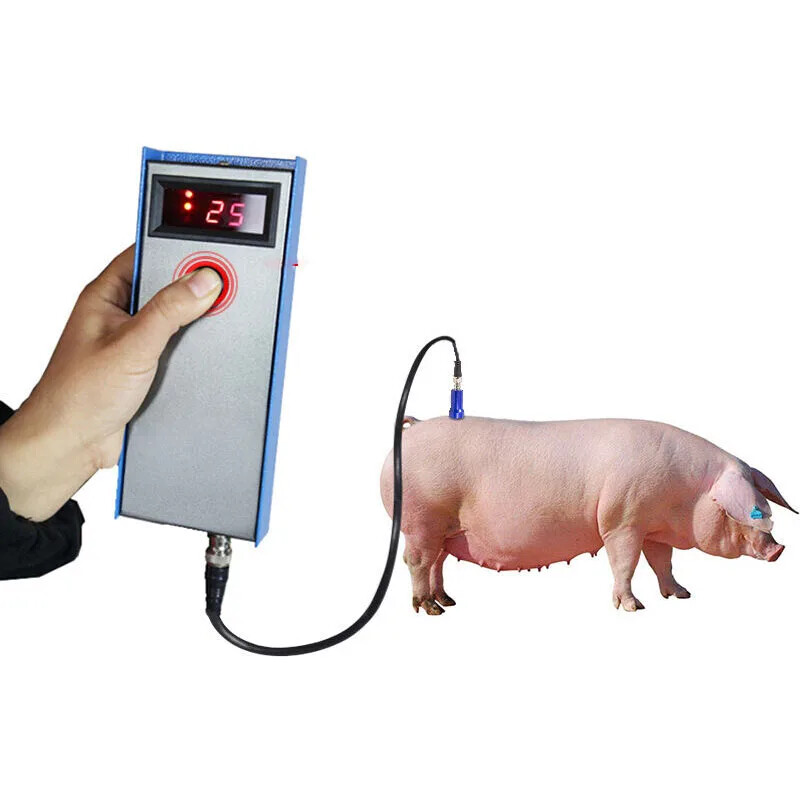 Pig Back Fat Detection Equipment Farm Animals Criterion Precise Detector