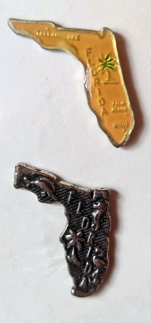 Vtg Florida State Shaped Tourist Travel Souvenir Pins Lot of 2 Enamel Plastic 1"