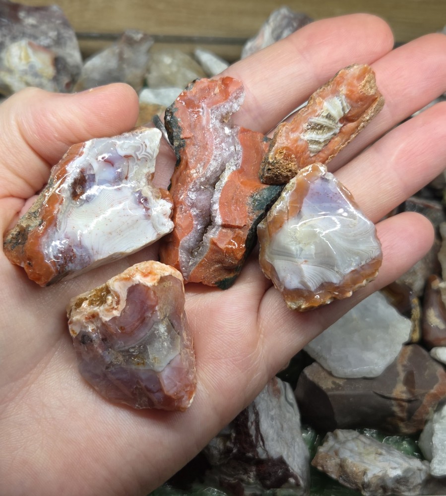 Mix Agate Rough 2 LB Lot - A5