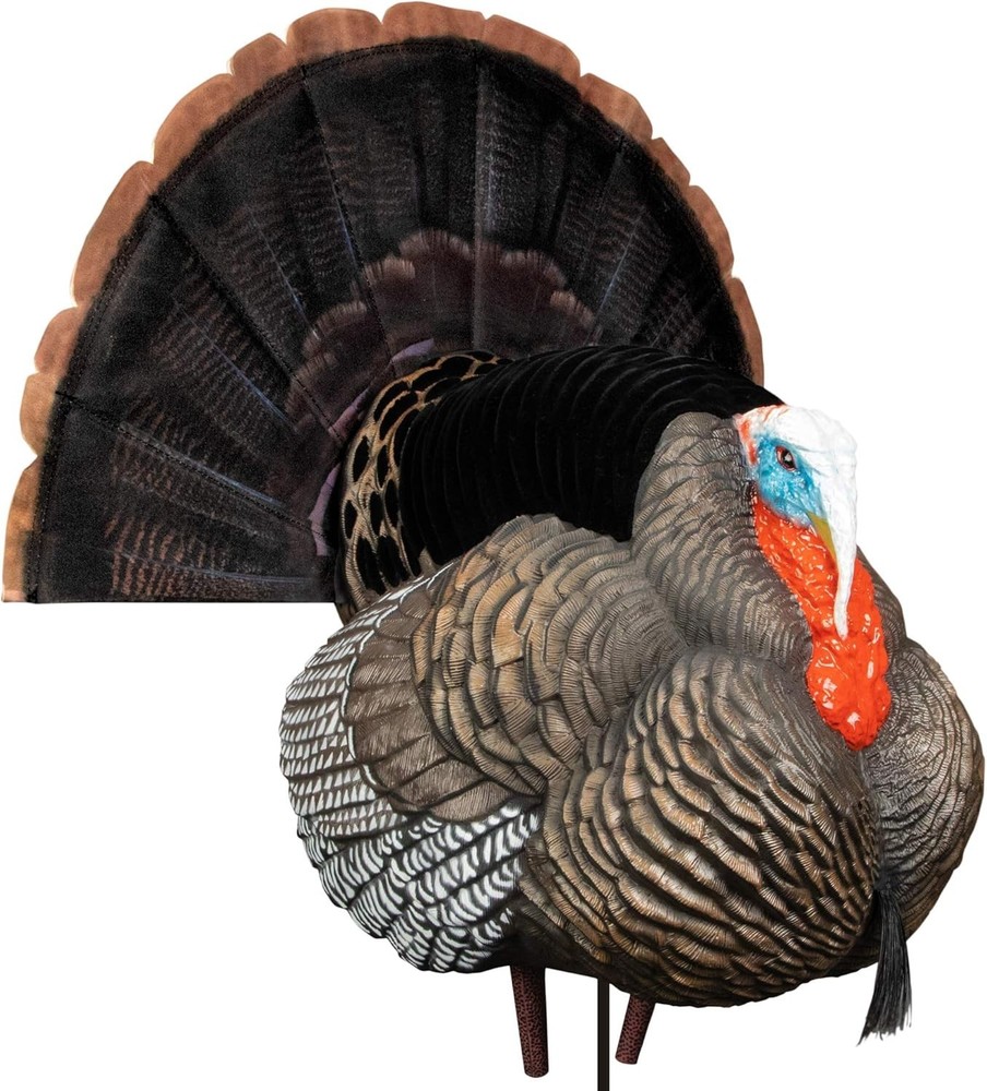 Apex Full Strut Tom Decoy with Stake System