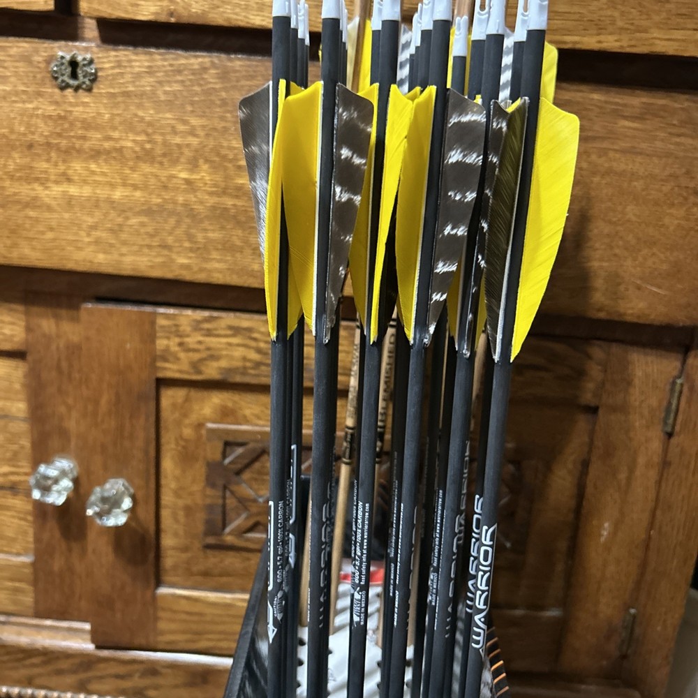 Gold Tip Warrior Arrows 6 Pack