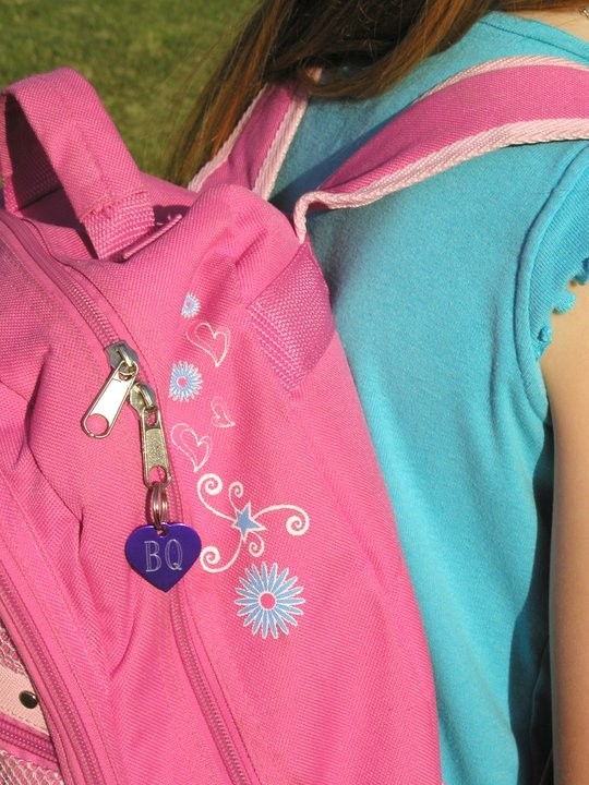 Solid Brass Horse, Dog or Cat Diamond Custom Engraved ID