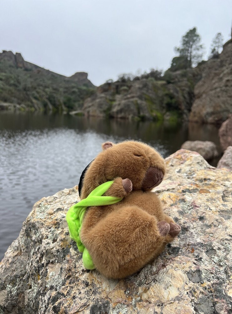 Capybara Chalk Bag