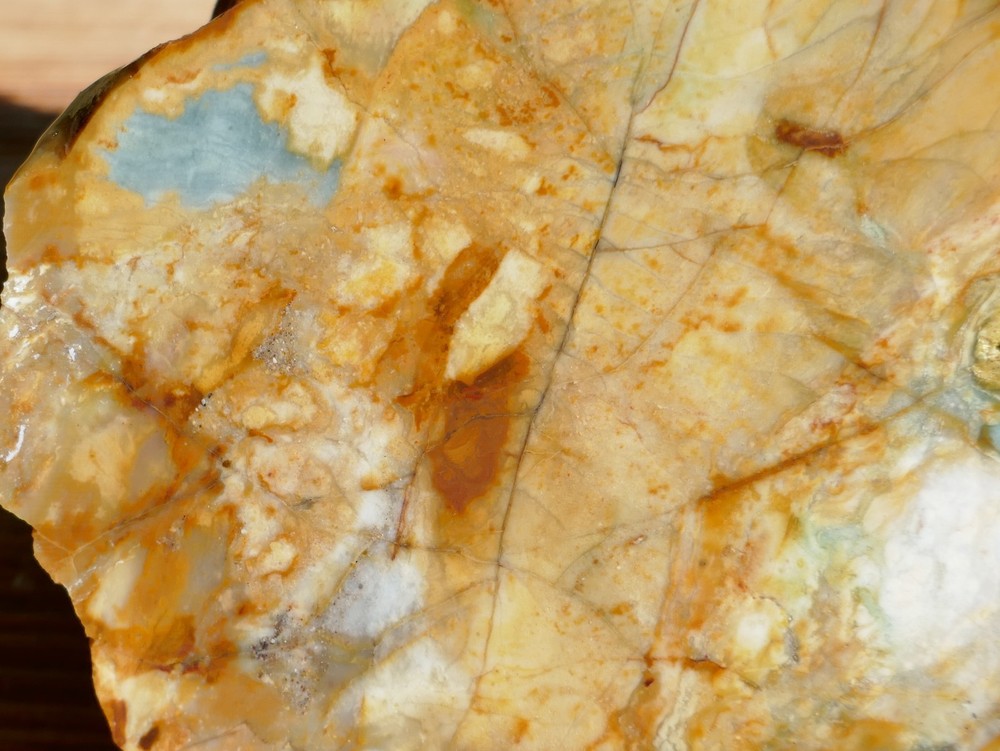 TCR Mohawk Jasper *Rough Slab 142g Multi-Color & Unique patterns | Oregon