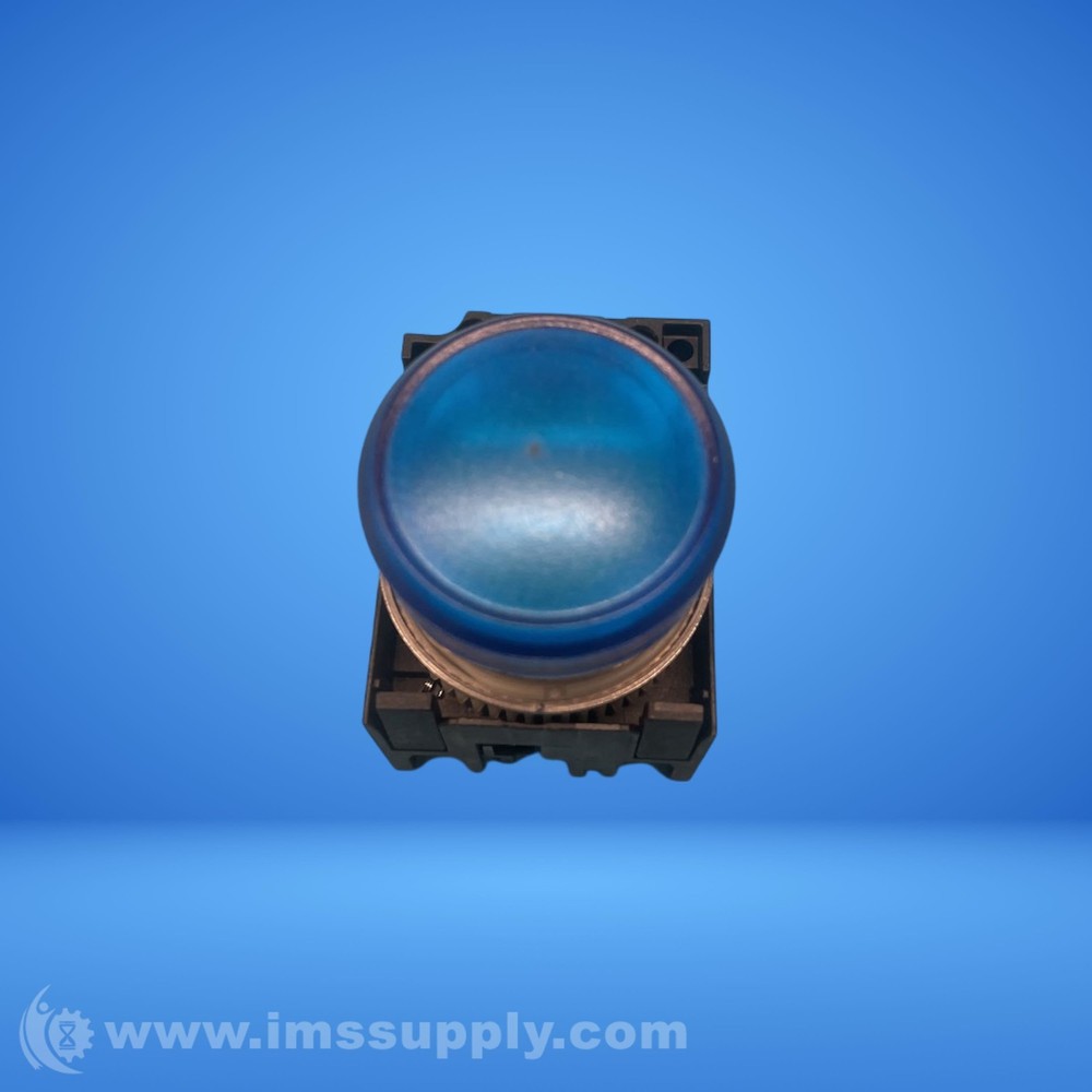 Blue Illuminated Push Button Indicator USIP