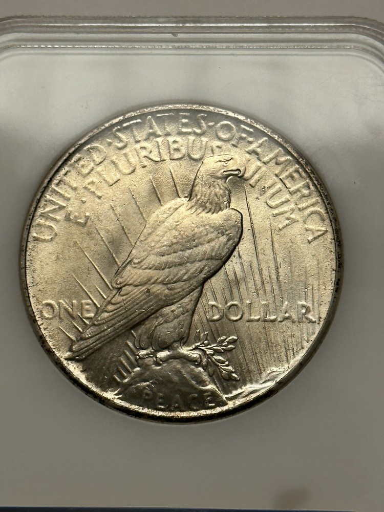 1926 Peace Dollar NGC MS65