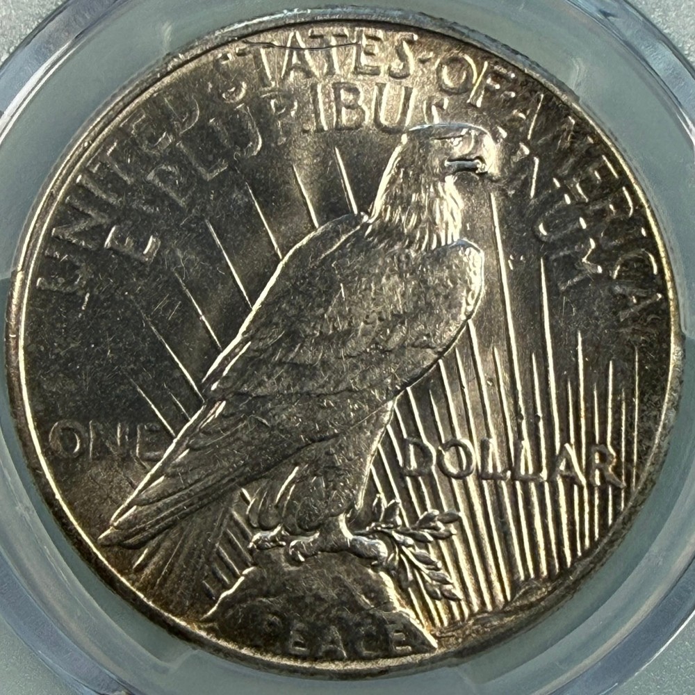 1928 Peace Silver Dollar PCGS Scratch-AU Detail