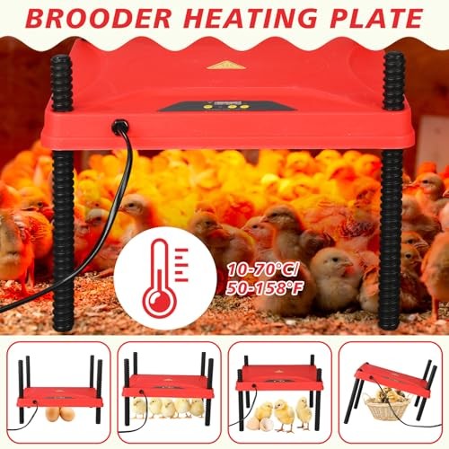 9 Pack Winter Chicken Brooder Box Starter with Heating Plate and 75w Heat