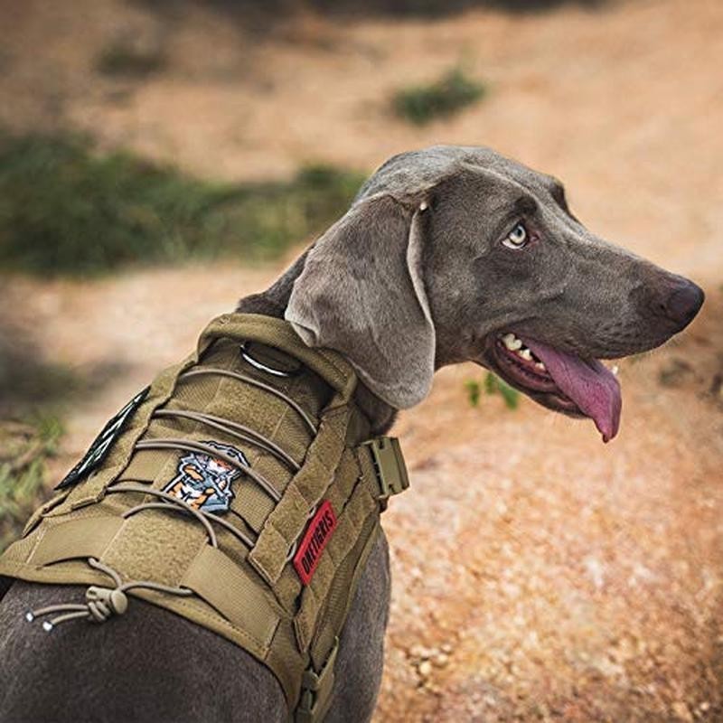 Tactical Dog Harness Adjustable Vest W/ MOLLE System Training & Control New