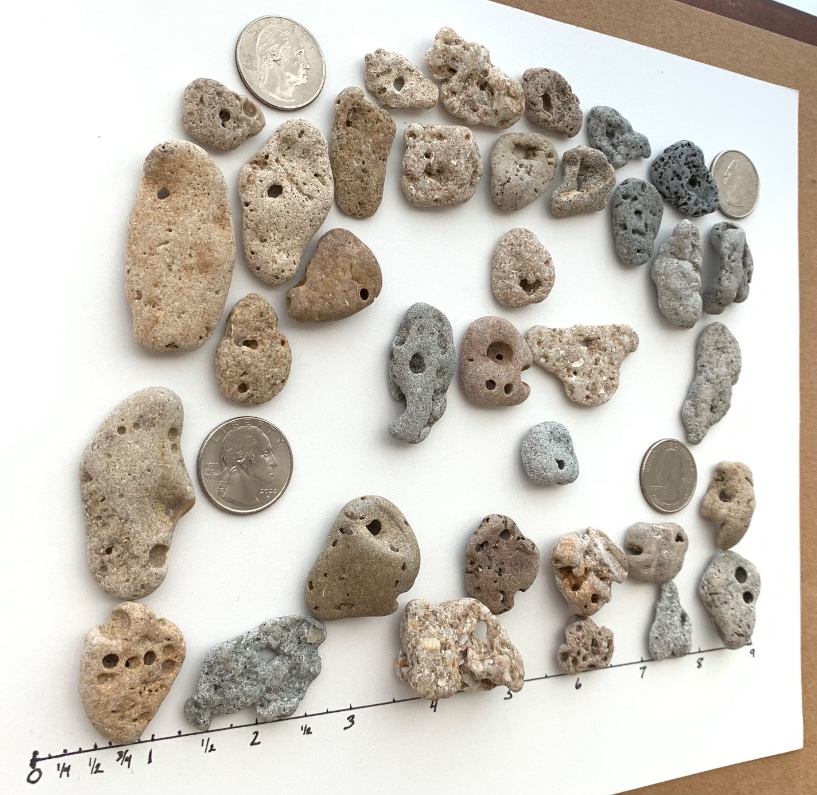 35 Adder Holey Beach Rocks Hag Stones Fairy Lucky Wish Magic Natural 1" #B2 US❤️