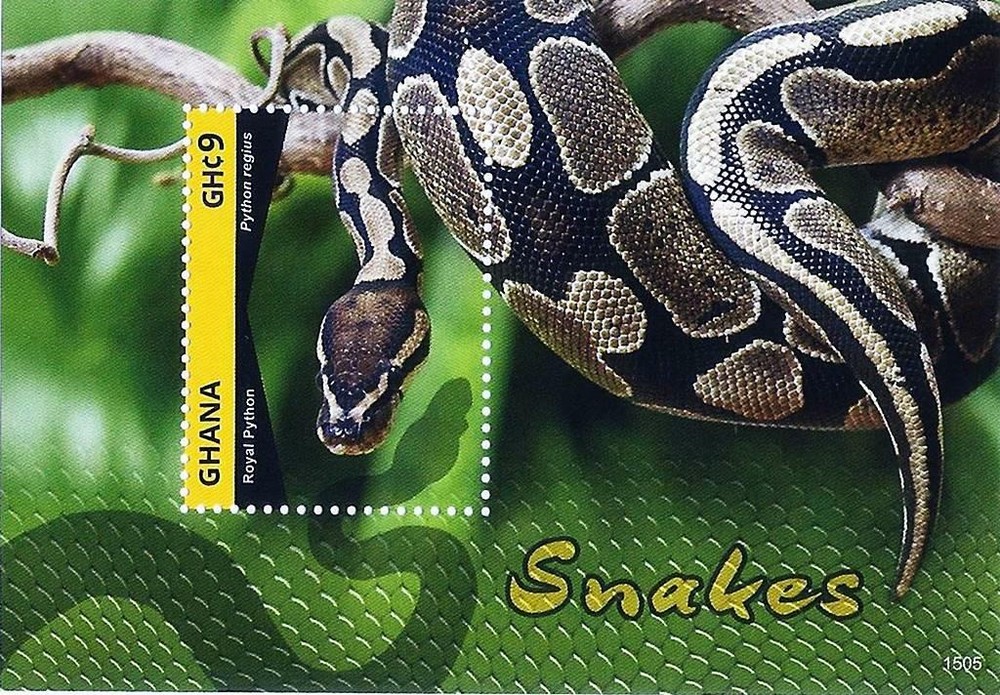 👉 GHANA = REPTILES / SNAKES / ROYAL PYTHON S/S MNH ANIMALS
