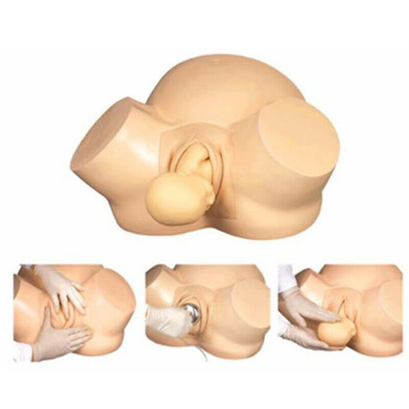 Advanced Vacuum Delivery Simulator Teaching Model Midwifery Training Simulator