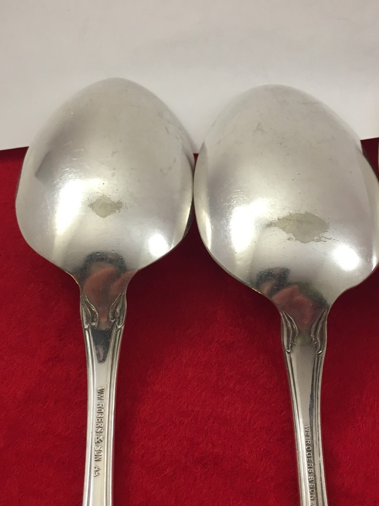 Wm Rogers & Son ARBUTUS Silver Plate 3 Solid Serving Spoons 1908 Flatware