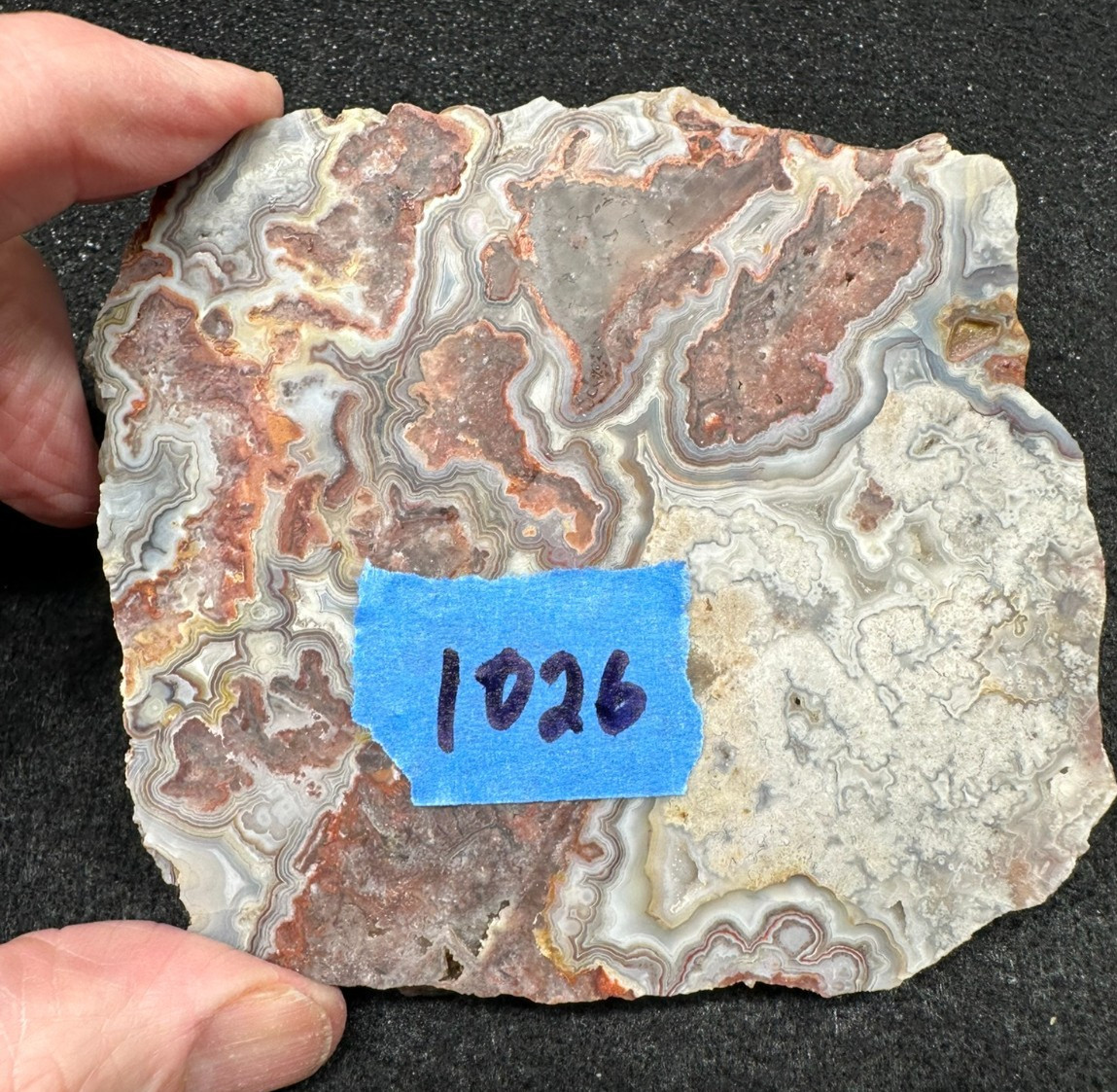 Crazy lace Agate unfinished slab, great for cabbing (weight 4.98oz)