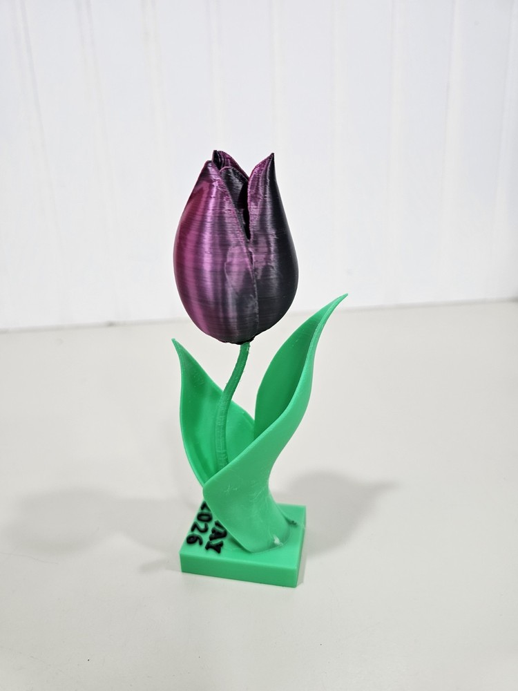 Tulip Vevay 2026