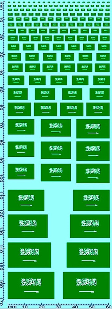 Flags Saudi Arabia 1:24 Decal