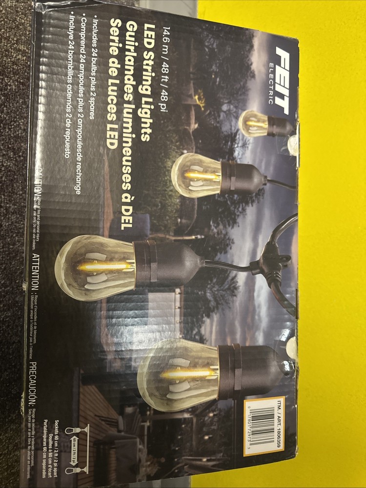 NEW STYLE Feit Electric 48 ft. LED string lights