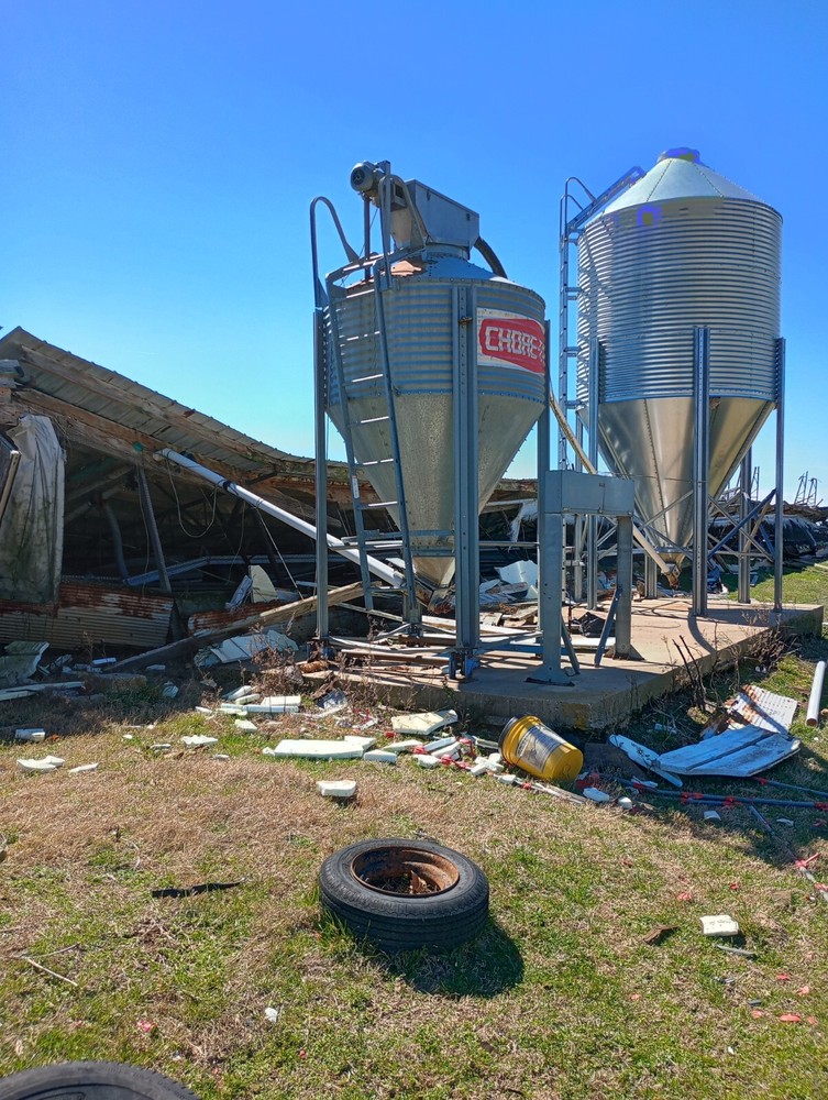 Food Grain Bins