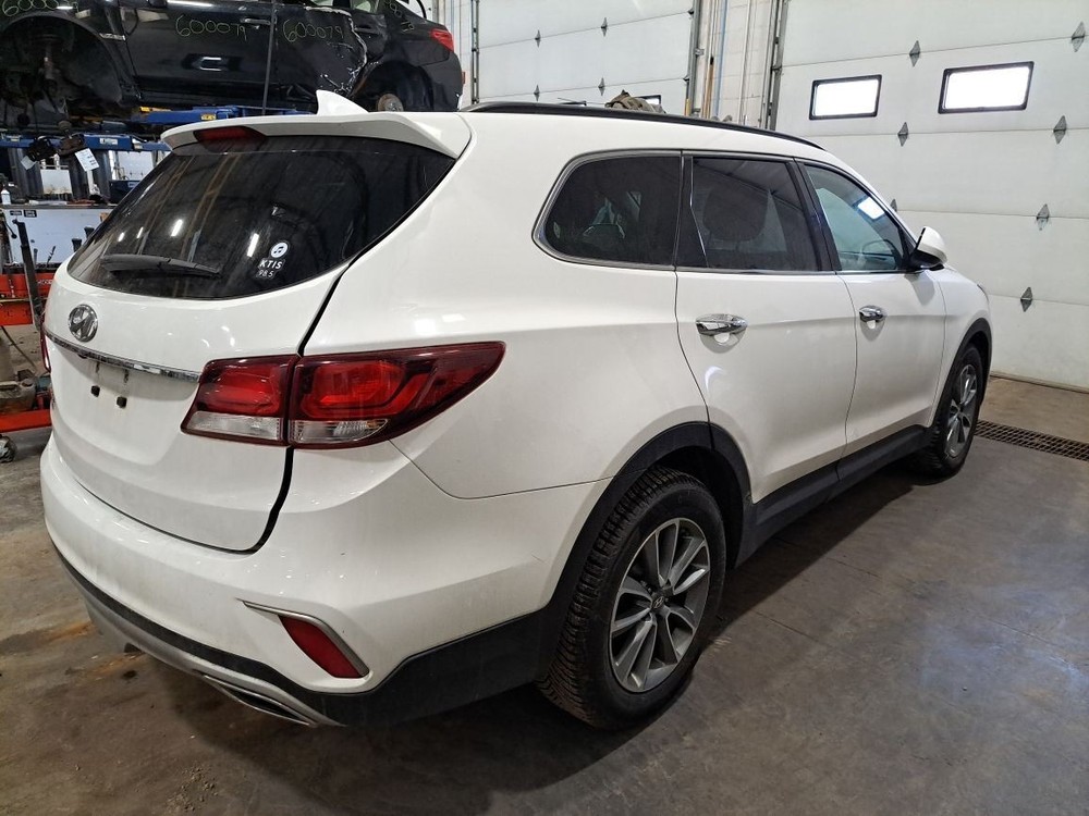 2017 Santa Fe Jack Sku#4374351
