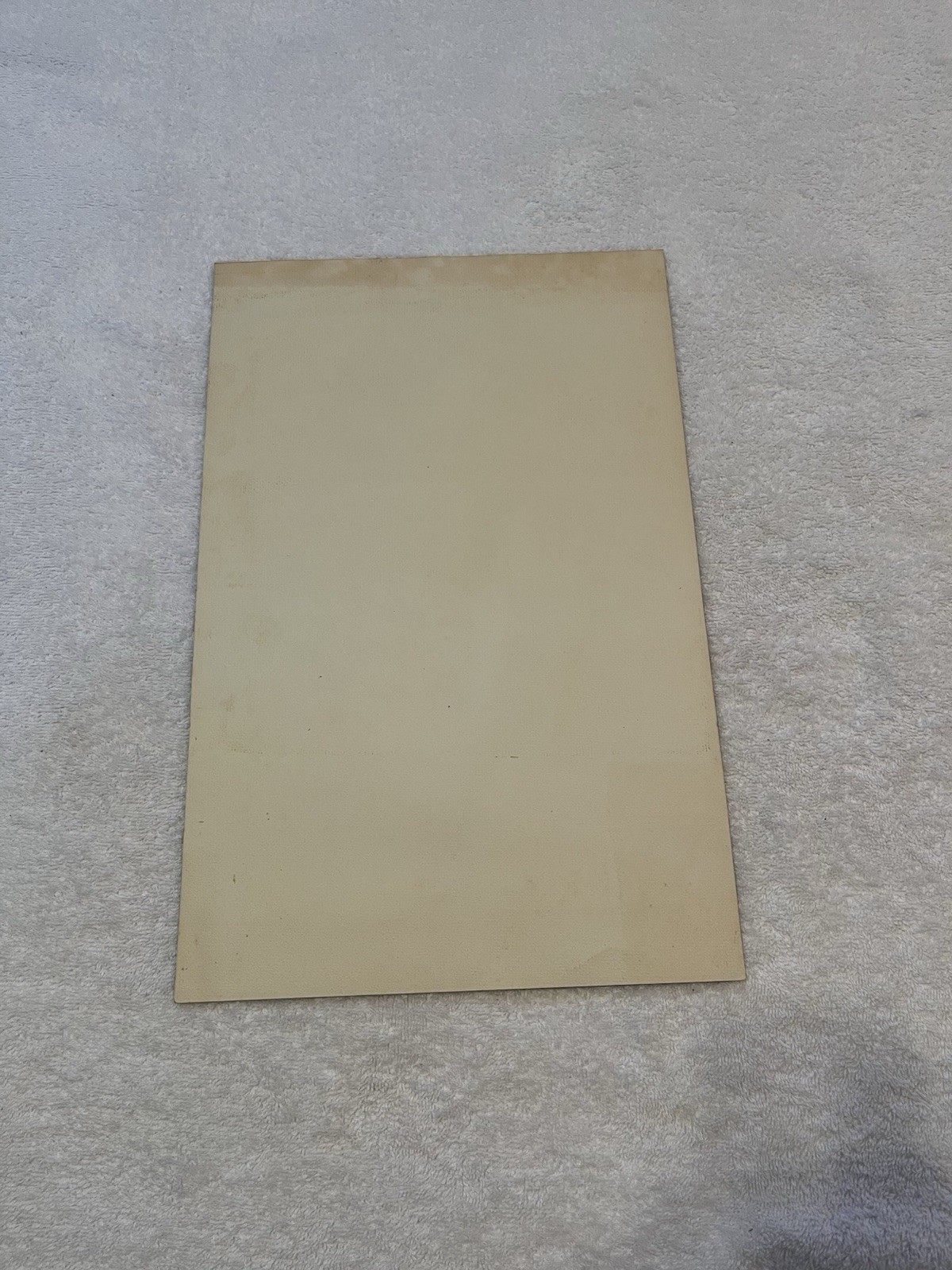 ELVIS PRESLEY 17 x 11 Poster Print by Loxi Sibley 1976 Concert Boxcar Excellent