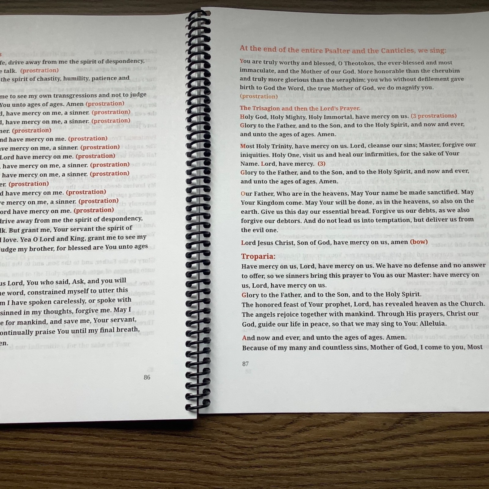 Orthodox Great Lent Psalter Repentance Pentinent Troparia Prayers 8X11 Modern EN