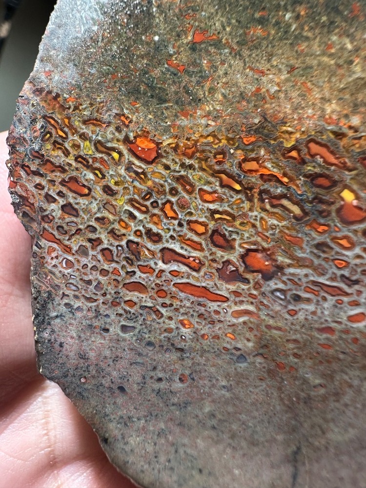 Dinosaur bone rough chunk. (344.7 grams)