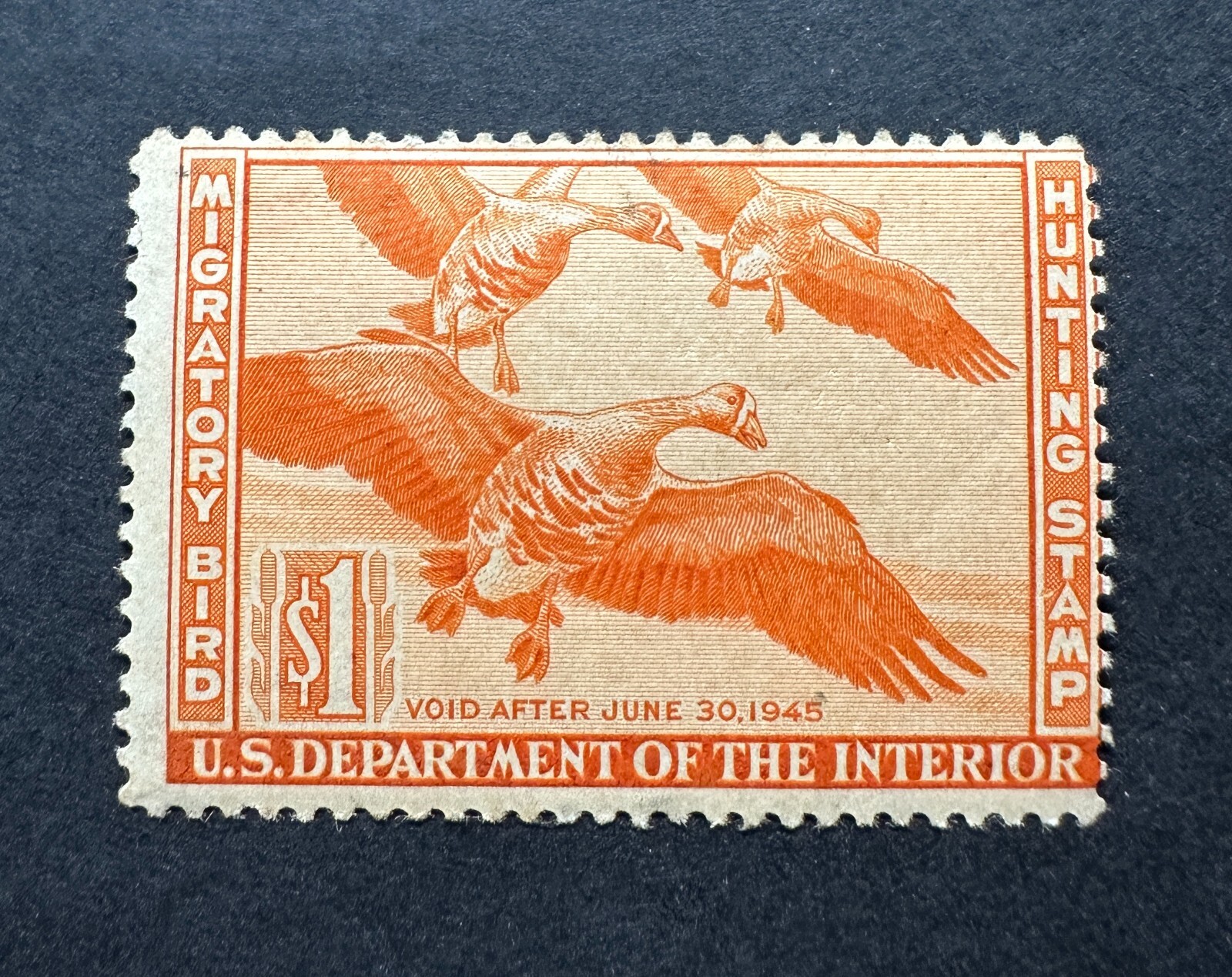 WTDstamps - #RW11 1944 - US Federal Duck Stamp - Mint OG NH